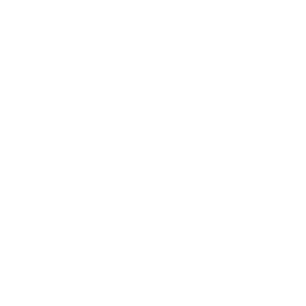 BRSLDN